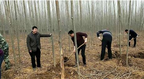 2022年国有叶县林场扶持生产补助项目