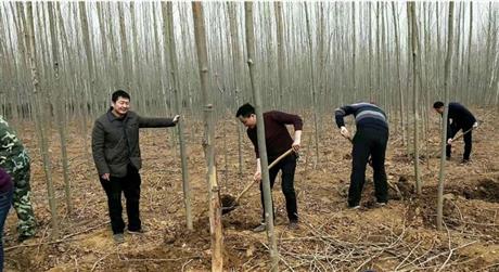 2022年国有叶县林场扶持生产补助项目